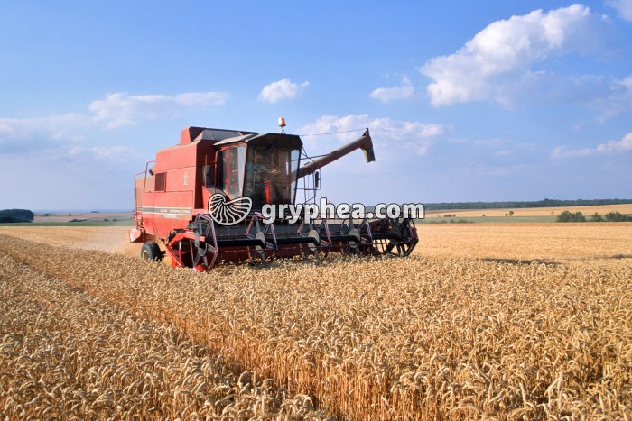 Moissonneuse - gryphea.com